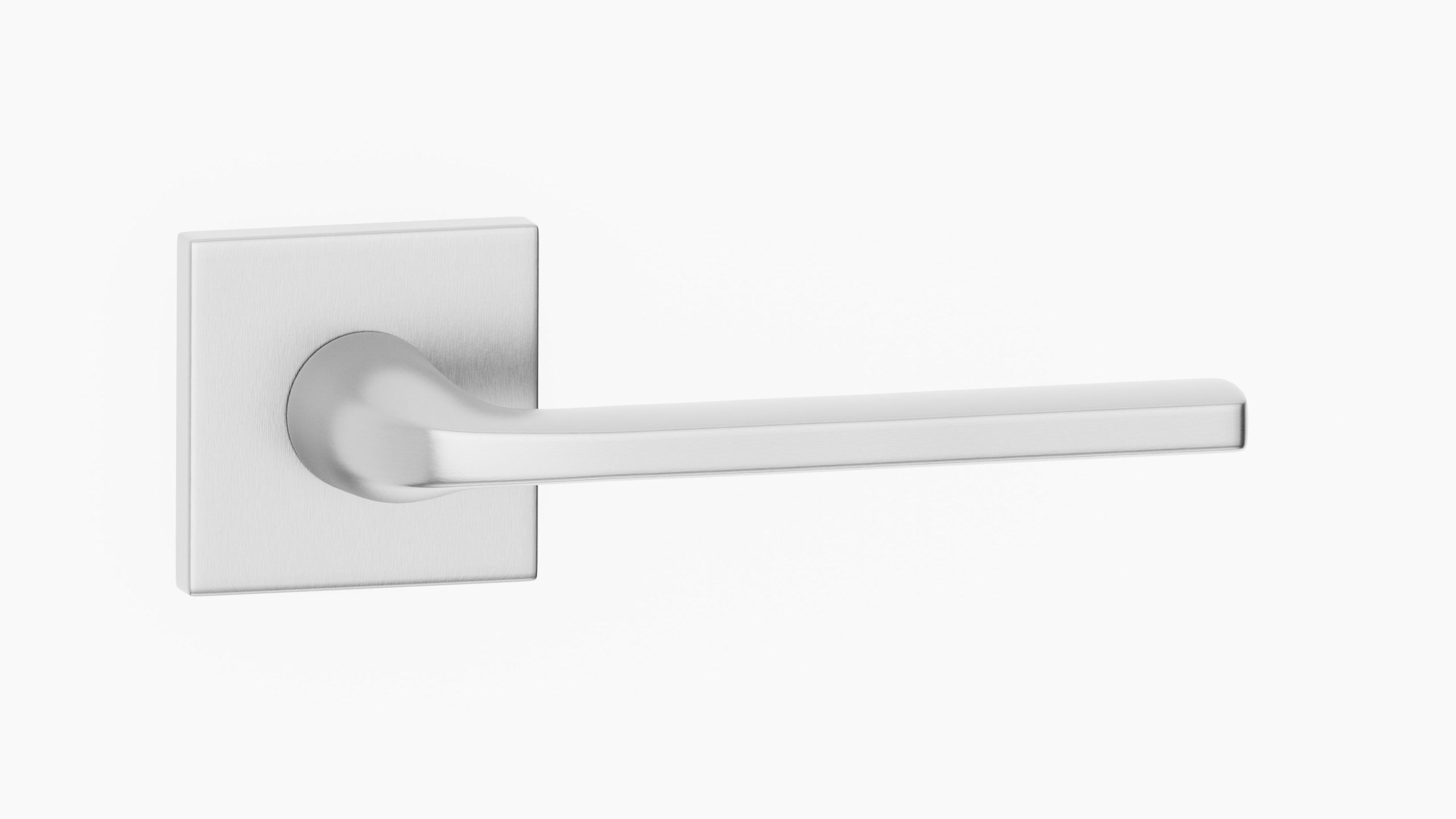 Arianna M11299516 scaled